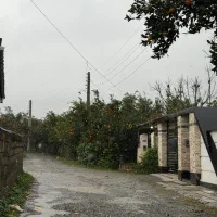 فروش قطعه سند تک برگ و آماده پروانه گراکو