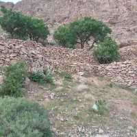 دارقالی یک در یک و نیم تکمیل اماده به کار