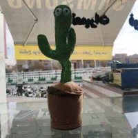 کاکتوس موزیکال