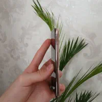 آیفون xs طلایی|موبایل|آشخانه, |دیوار