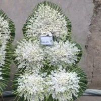 کد ۹۰(بدونه بیعانه خرید امن)تاج دسته گل سبد|گل و گیاه طبیعی|تهران, شهرک محلاتی|دیوار