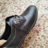 کفش|کیف، کفش، کمربند|مشهد, فاطمیه|دیوار