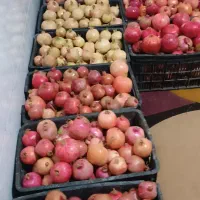 ۲۵۰کیلو انار درجه یک|گل و گیاه طبیعی|سیدان, |دیوار
