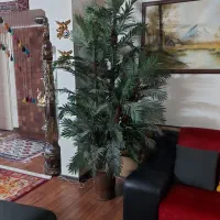 درخت مصنوعی خارجی|گل مصنوعی|شیراز, فرهنگ شهر|دیوار