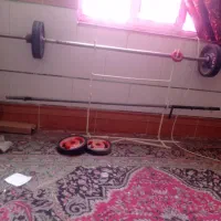هالتر