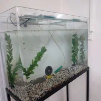 آکواریوم به همراه وسایل و پایه