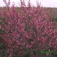 مزرعه با امکانات کامل برای اکو توریسم