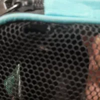 کوله پشتی حمل سگ|لوازم جانبی حیوانات|تهران, کرمان|دیوار