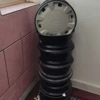 رینگ نو