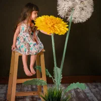 گل قاصدک دکور اتلیه