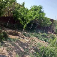باغ ۵۰۰ متری|فروش خانه و ویلا|مشهد, كنويست|دیوار