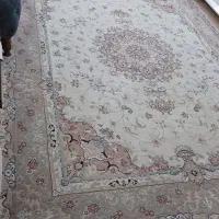 دوتخته فرش ۹ متری سالم|فرش|پاکدشت, پاکدشت (مامازند)|دیوار