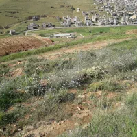 زمین-مسکونی