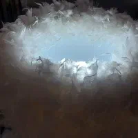 آباژور پر|چراغ خواب و آباژور|رامهرمز, |دیوار