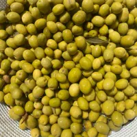 زیتون کنسروی