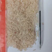 برنج محلی فجر پنج ستاره