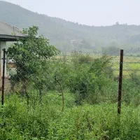 زمین مسکونی ۱۸۱۴متری+خانه کلنگی در آهکلان ماسال|فروش زمین و ملک کلنگی|ماسال, |دیوار