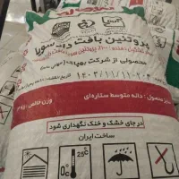 سویا سبحان