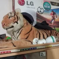 عروسک پولیشی|اسباب‌‌بازی|زنجان, |دیوار