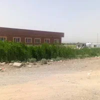 3200 متر زمین کشاورزی در محمد آباد قرچک|فروش زمین و ملک کلنگی|قرچک, محمد آباد|دیوار