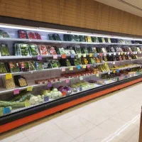 یخچال بدون درب پرده هوا ایستاده|فروشگاه و مغازه|شیراز, شهرک صنعتی شیراز|دیوار