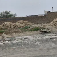 زمین فروشی شهرستان کاشمر - اول روستای زنده جان|فروش زمین و ملک کلنگی|کاشمر, |دیوار
