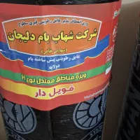 ایزوگام