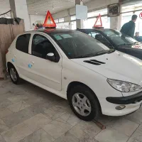 206 پاناروما مدل 401 در حد