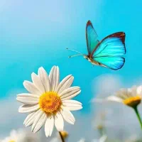 نیاز مند سرمایه