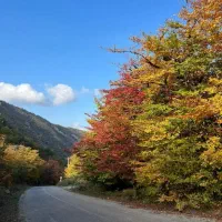 اجاره ویلای جنگلی کوهستانی در روستای خلیندره