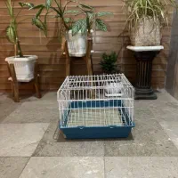 قفس خرگوش و خوکچه هندی