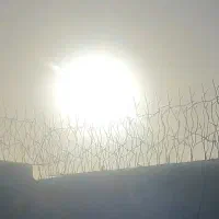 حفاظ شاخ گوزنی تراکم بالا با میلگرد ۸ و میلگرد ۱۰|خدمات پیشه و مهارت|شهریار, شهرک نماز (دینار آباد)|دیوار