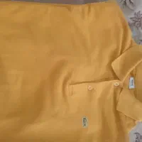 تیشرت لاگوست اصل