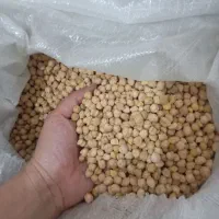 نخود