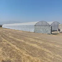 فروش یک واحد گلخانه نیمه صنعتی