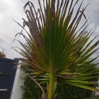 خدمات صفر تا صد ویلا وآپارتمان