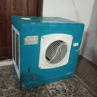 کولرابی۳۱۰۰