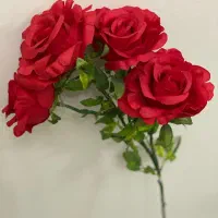 تعدادی گل رز شاخه ای،سرگل،گل سنبل