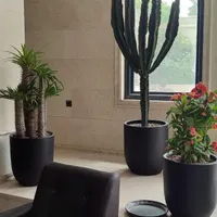 طراحی و اجرای فضای سبز|خدمات باغبانی و درختکاری|مشهد, سجادیه|دیوار