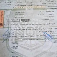 بی ای سی ایکس 3 پرو، مدل ۲۰۲۴
