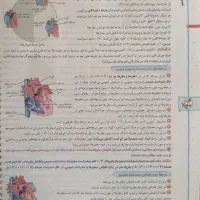 کتاب خیلی سبز زیست دهم|کتاب و مجله آموزشی|شاهینشهر, خبرنگار|دیوار