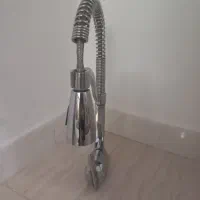 شیراهرمی سالم و نوع