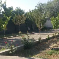 زمین باغ ۵۰۰ متری نزدیک به حاشیه شهر