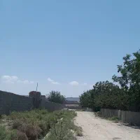 زمین