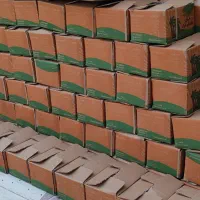 خرمای شاهانی « عمده »