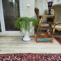 گل اپارتمانس سرخس و افوربیا