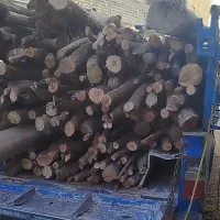 خریدار چوب های درختی و سقفی شما در محل شما|خدمات باغبانی و درختکاری|شیراز, شهرک کوشکک|دیوار