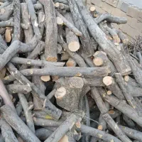 خرید چوب ذغالی