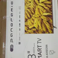 تلوزیون ۴۳ اینچ پانورامیک