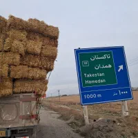 بسته بندی کلش